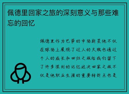 佩德里回家之旅的深刻意义与那些难忘的回忆