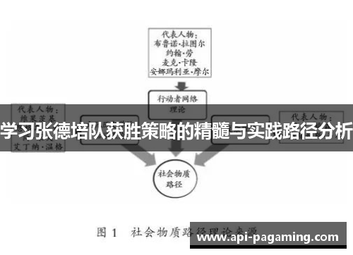 学习张德培队获胜策略的精髓与实践路径分析