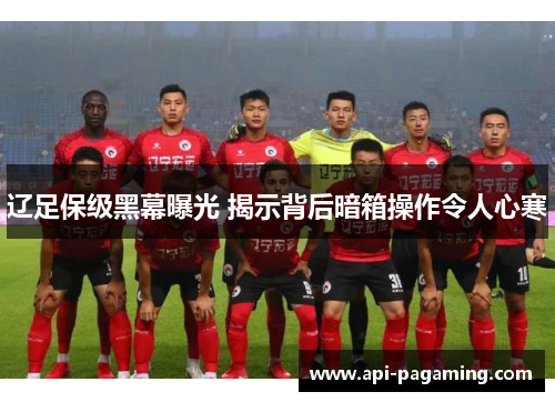 辽足保级黑幕曝光 揭示背后暗箱操作令人心寒