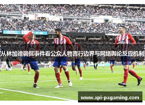 从林加德调侃事件看公众人物言行边界与网络舆论反应机制