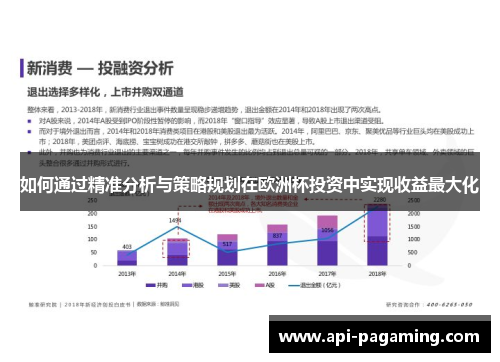 如何通过精准分析与策略规划在欧洲杯投资中实现收益最大化 如何通过精准分析与策略规划在欧洲杯投资中实现收益最大化
