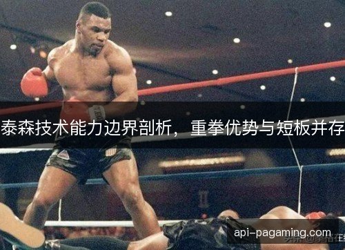 泰森技术能力边界剖析，重拳优势与短板并存